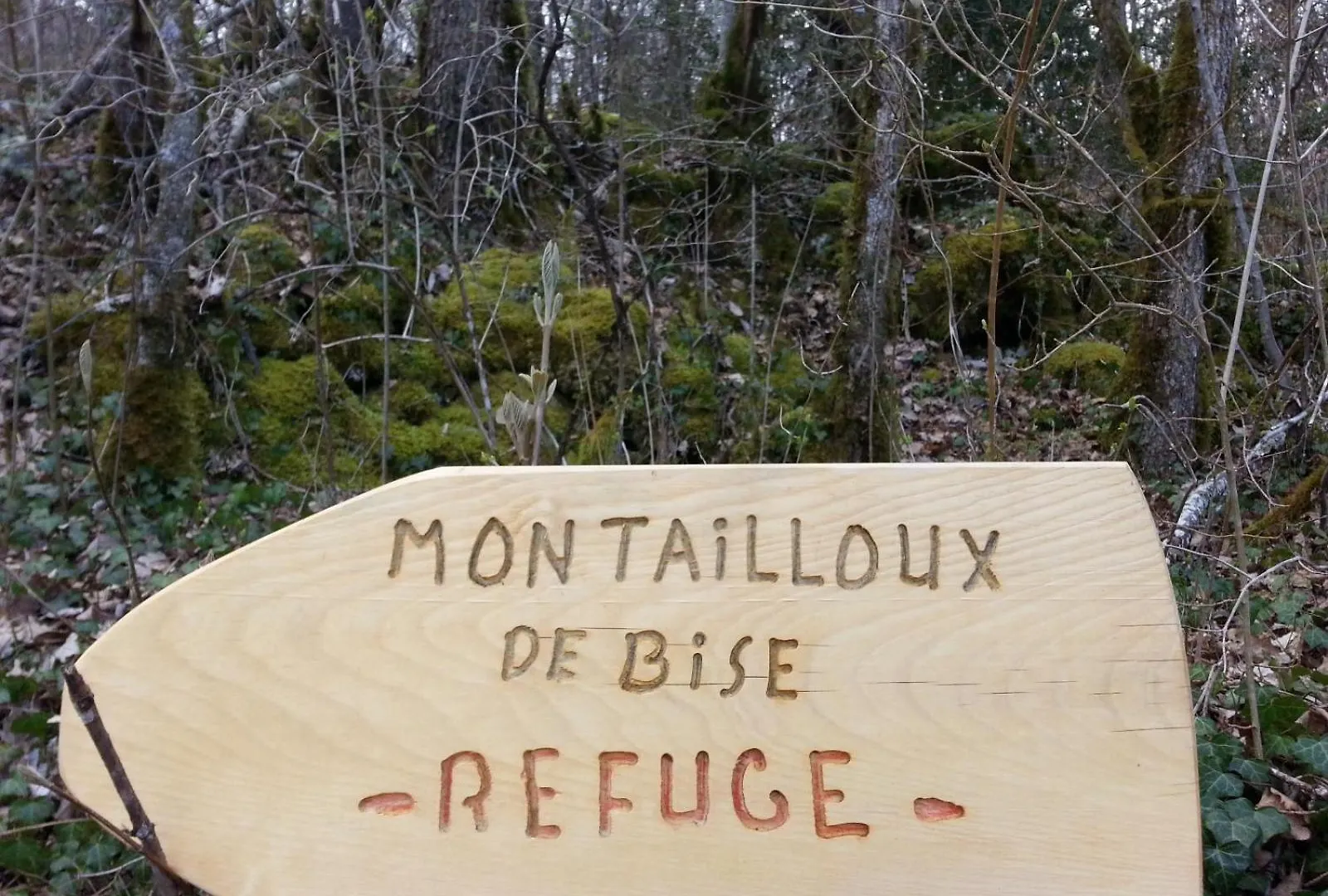 بيت خشبي فيلا Eco-Refuge De Montailloux Corbonod